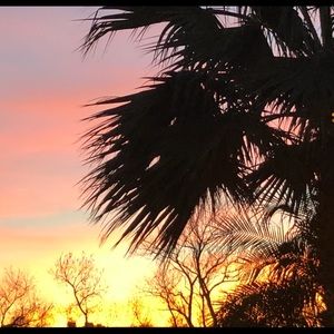 Meet your Posher, Kiara